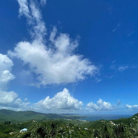 Villa Les Alizes Morne Blanc Dış mekan fotoğraf